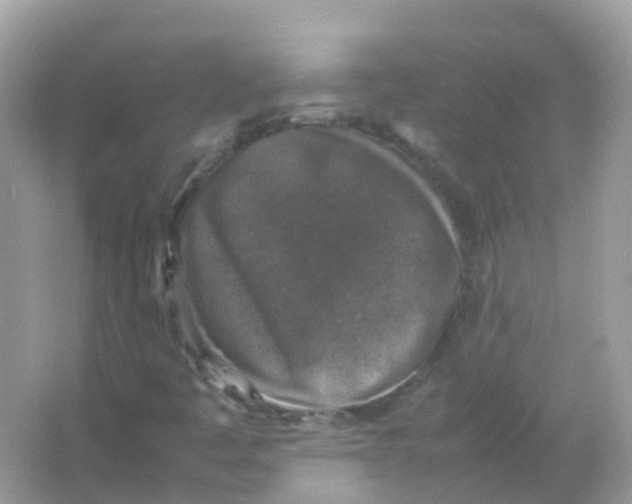 X0000065981445200603241927