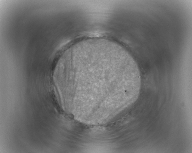 X0000065981446200603241927