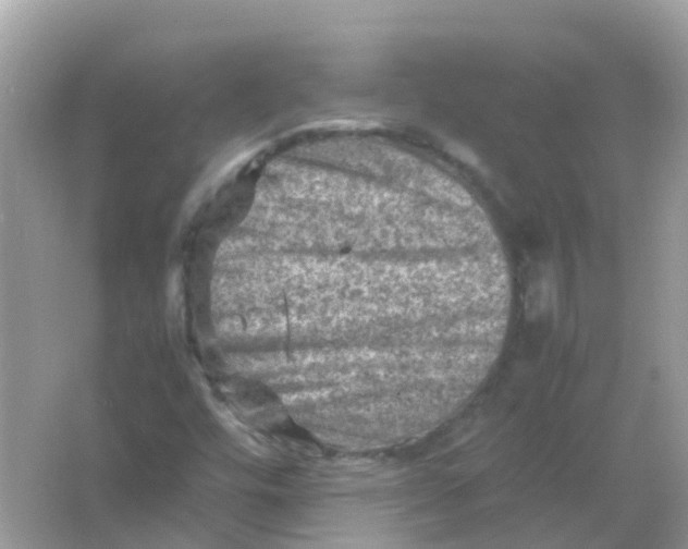 X0000065981448200603241927