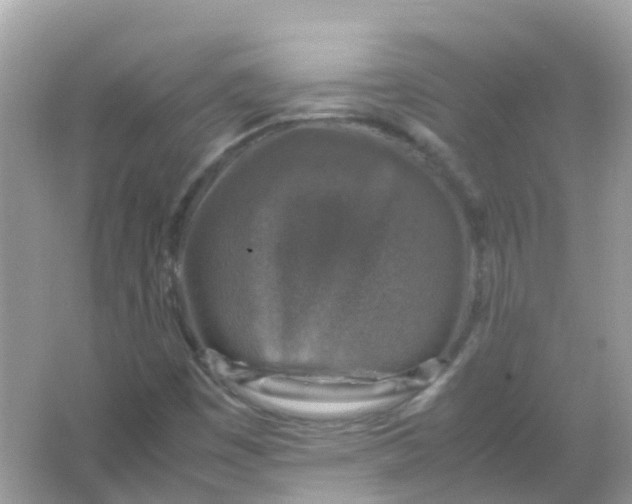 X0000065981449200603241927