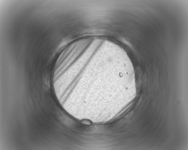 X0000065981451200603241927