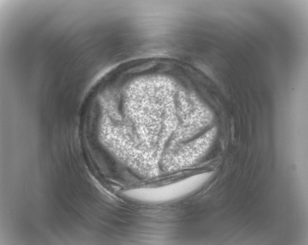 X0000065981452200603241927