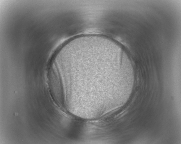 X0000065981454200603241927