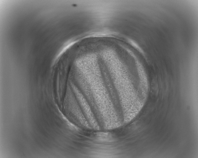 X0000065981456200603241927