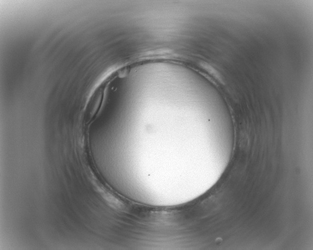 X0000065981458200603241927