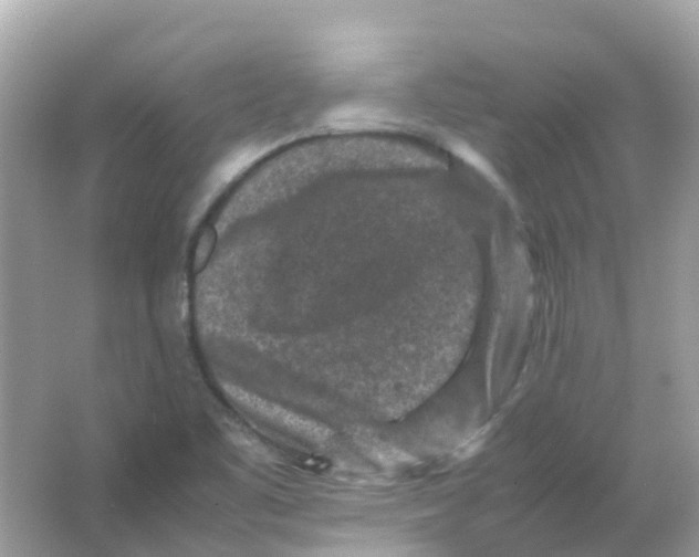 X0000065981461200603241927