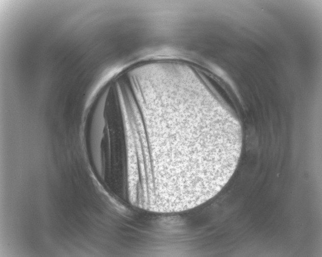 X0000065981464200603241927