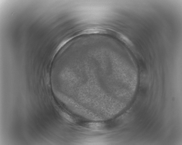 X0000065981465200603241927