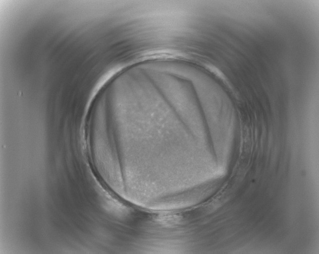 X0000065981466200603241927