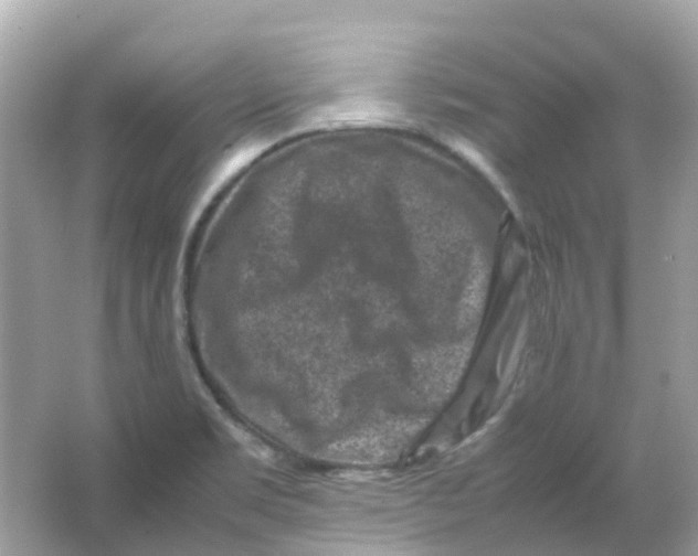 X0000065981469200603241927