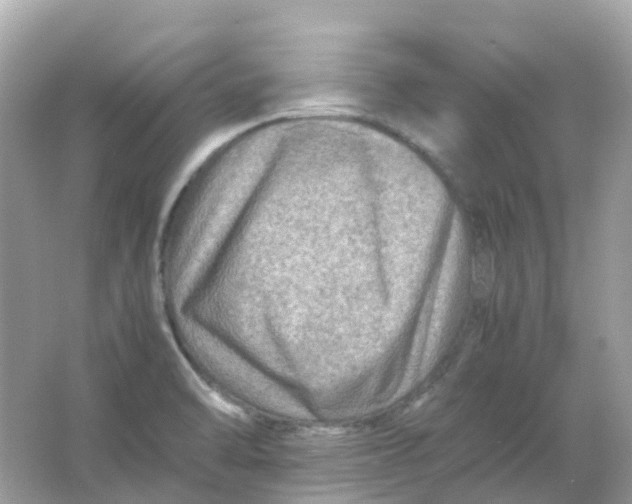 X0000065981470200603241927