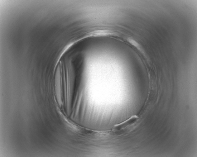 X0000065981473200603241926