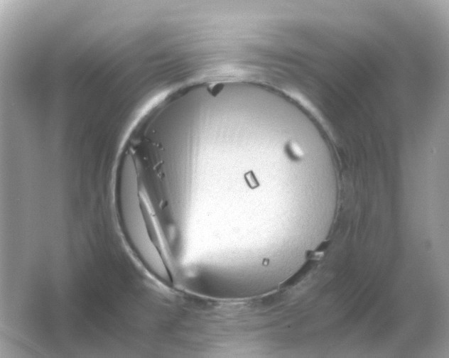 X0000065981477200603241926