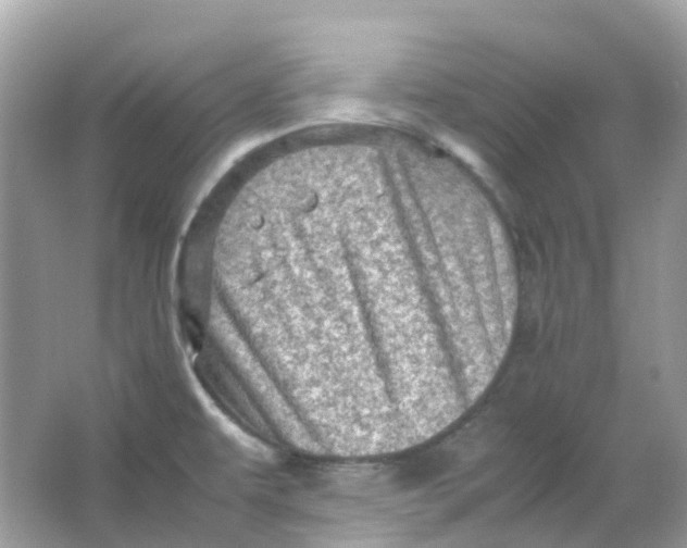 X0000065981479200603241926