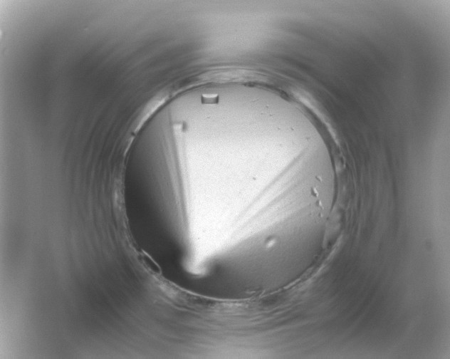 X0000065981481200603241926