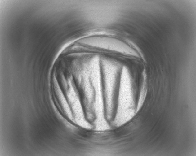 X0000065981483200603241926