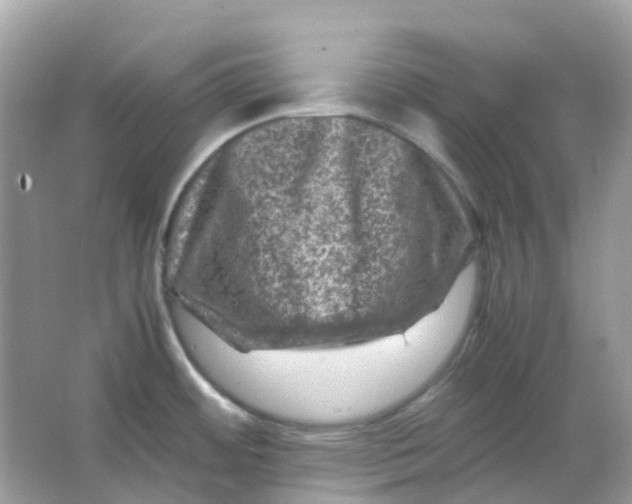 X0000065981484200603241926