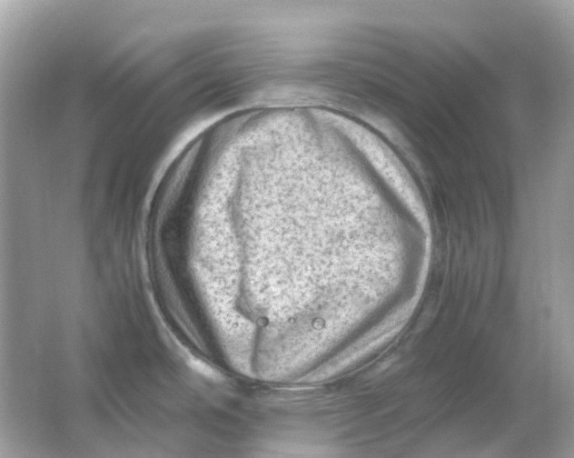 X0000065981486200603241926