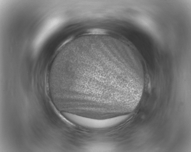 X0000065981487200603241926