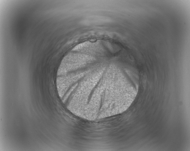 X0000065981489200603241925