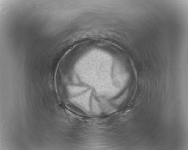 X0000065981490200603241925