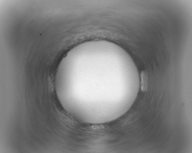 X0000065981491200603241925