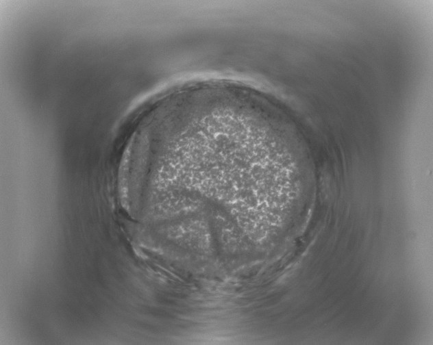 X0000065981494200603241925