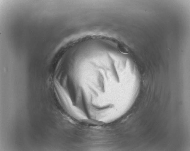 X0000065981495200603241925