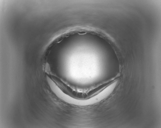 X0000065981496200603241925