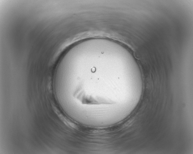 X0000065981499200603241926