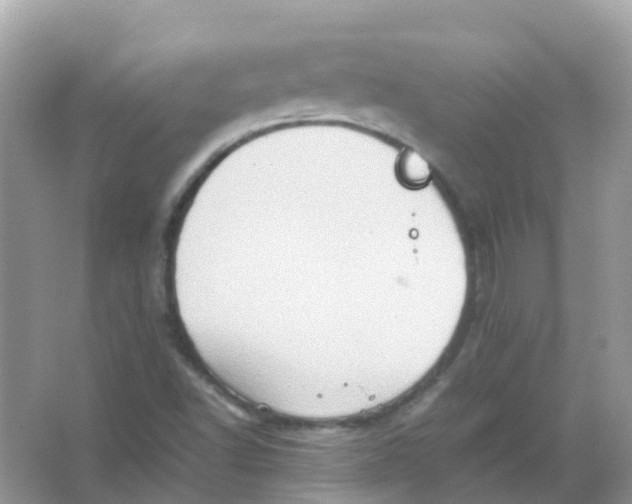 X0000065981502200603241926