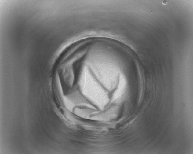 X0000065981503200603241926