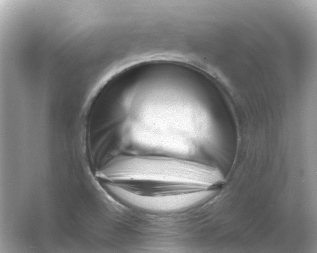 X0000065981504200603241926