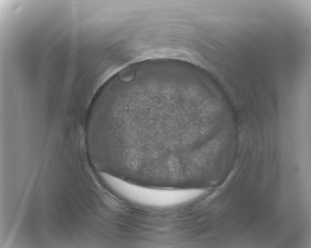 X0000065981505200603241926