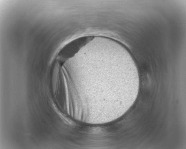 X0000065981507200603241926