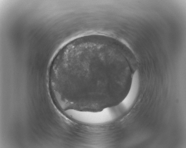 X0000065981508200603241926