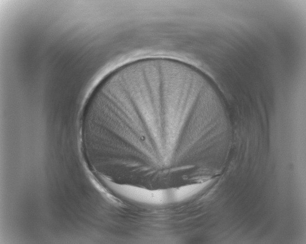 X0000065981511200603241926