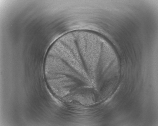 X0000065981513200603241926