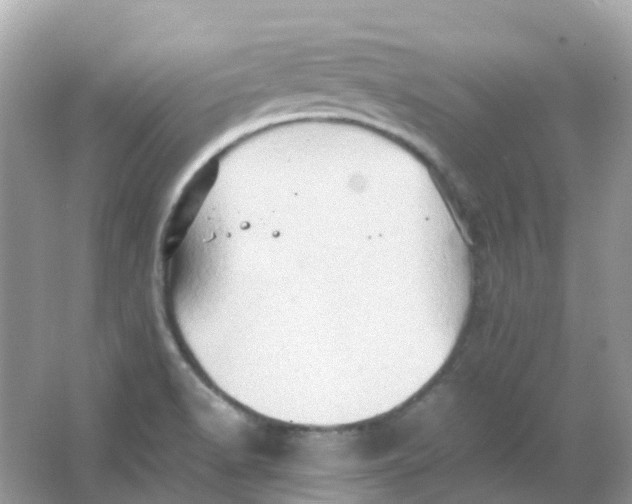 X0000065981518200603241926