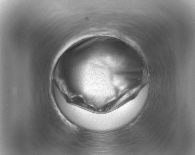 X0000065981520200603241926