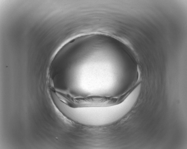 X0000065981524200603241926