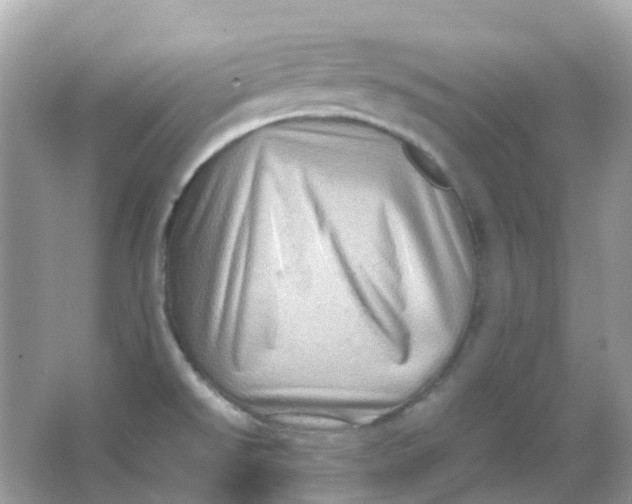 X0000065981526200603241926