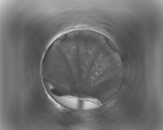 X0000065981527200603241926