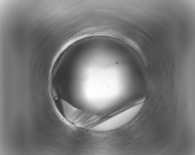 X0000065981528200603241926