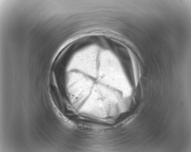 X0000065981530200603241926