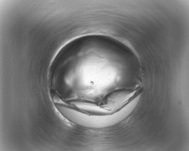 X0000065981532200603241926