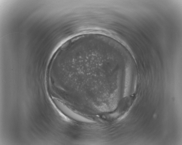 X0000065981533200603241926