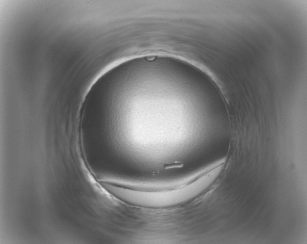 X0000065981534200603241926