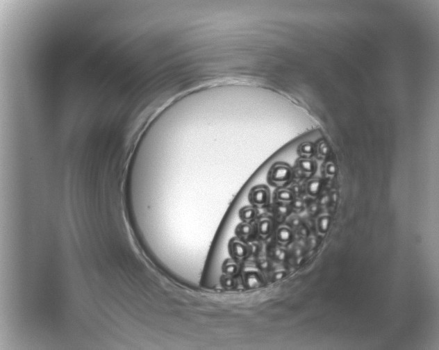 X0000065980001200603311917