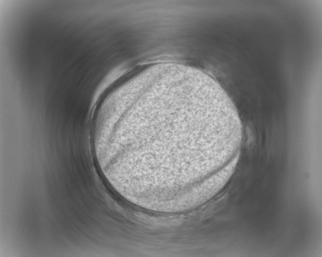 X0000065980004200603311917